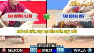 TRẬN 36 CPC3 27/1/2026