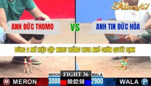 TRẬN 36 CPC3 8/1/2026