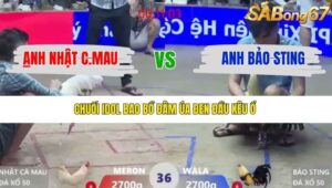 TRẬN 36 XÀ XÍA 1/1/2026