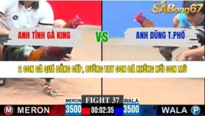 TRẬN 37 CPC3 29/1/2026