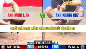 TRẬN 38 CPC3 8/1/2026