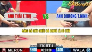 TRẬN 4 CPC3 25/1/2026