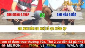 TRẬN 4 CPC5 26/1/2026