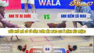 TRẬN 4 XÀ XÍA 27/1/2026