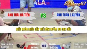 TRẬN 4 XÀ XÍA 31/1/2026