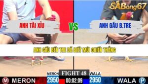 TRẬN 48 CPC3 29/1/2026