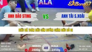 TRẬN 48 XÀ XÍA 1/1/2026