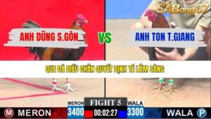 TRẬN 5 CPC3 11/1/2026