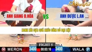 TRẬN 5 CPC3 18/1/2026