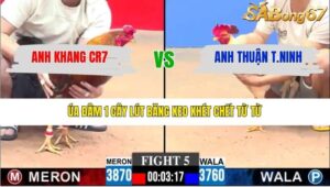 TRẬN 5 CPC3 27/1/2026