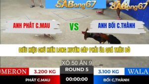 TRẬN 5 TONHON 28/1/2026