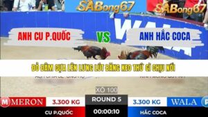 TRẬN 5 TONHON 7/1/2026