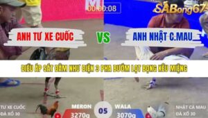 TRẬN 5 XÀ XÍA 16/1/2026