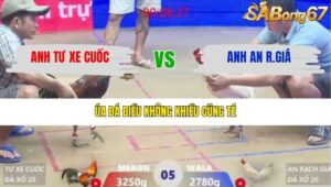 TRẬN 5 XÀ XÍA 26/1/2026