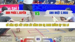 TRẬN 5 XÀ XÍA 28/1/2026