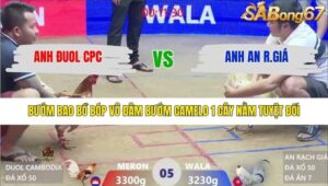 TRẬN 5 XÀ XÍA 29/1/2026