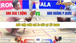 TRẬN 5 XÀ XÍA 9/1/2026