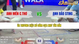 TRẬN 52 XÀ XÍA 1/1/2026