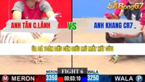 TRẬN 6 CPC3 25/1/2026