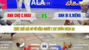 TRẬN 6 XÀ XÍA 10/1/2026