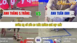 TRẬN 6 XÀ XÍA 16/1/2026