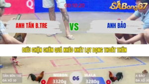 TRẬN 6 XÀ XÍA 26/1/2026