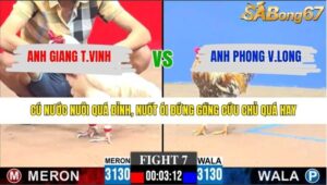 TRẬN 7 CPC3 29/1/2026