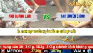 TRẬN 7 CPC5 28/1/2026