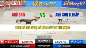 TRẬN 7 TONHON 13/1/2026