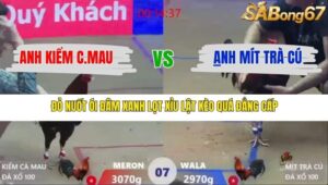 TRẬN 7 XÀ XÍA 1/1/2026