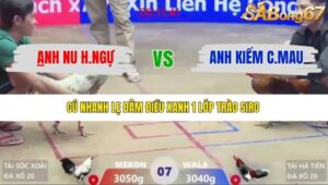 TRẬN 7 XÀ XÍA 12/1/2026