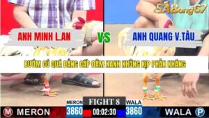 TRẬN 8 CPC3 23/1/2026