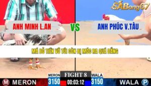 TRẬN 8 CPC3 25/1/2026