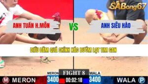 TRẬN 8 CPC3 29/1/2026