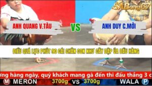 TRẬN 8 CPC5 28/1/2026