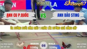 TRẬN 8 XÀ XÍA 1/1/2026