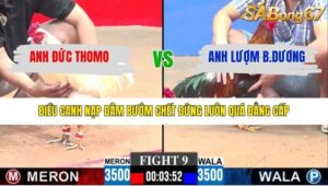 TRẬN 9 CPC3 25/1/2026