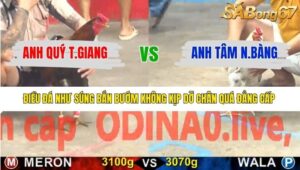 TRẬN 9 CPC5 13/1/2026