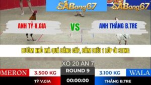 TRẬN 9 TONHON 25/1/2026