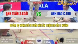 TRẬN 9 XÀ XÍA 12/1/2026