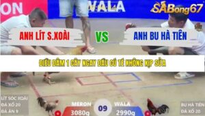 TRẬN 9 XÀ XÍA 20/1/2026