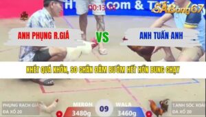 TRẬN 9 XÀ XÍA 26/1/2026