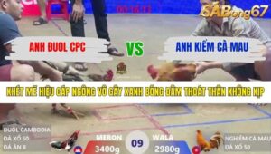 TRẬN 9 XÀ XÍA 29/1/2026