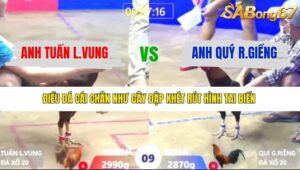 TRẬN 9 XÀ XÍA 9/1/2026