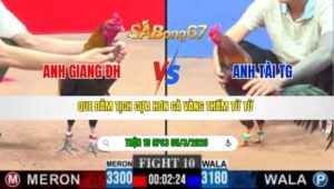 TRẬN 10 CPC3 NGÀY 05/3/2026