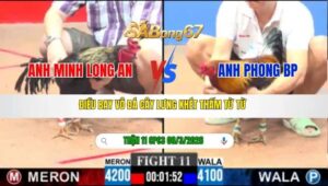 TRẬN 11 CPC3 NGÀY 08/3/2026