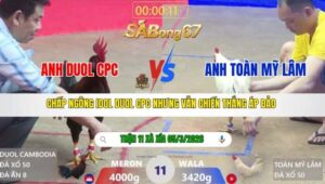 TRẬN 11 XÀ XÍA NGÀY 05/3/2026