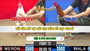 TRẬN 12 CPC2 NGÀY 06/3/2026