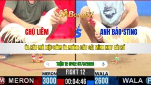 TRẬN 12 CPC2 NGÀY 07/3/2026