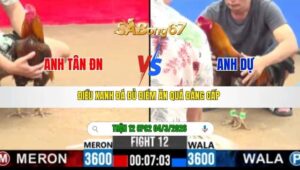 TRẬN 12 CPC2 NGÀY 04/3/2026